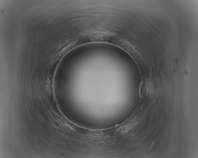 X0000081480964200701121440