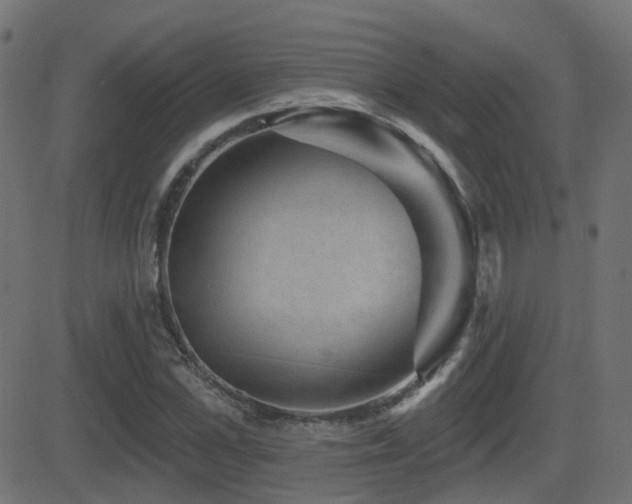X0000081480973200701121440