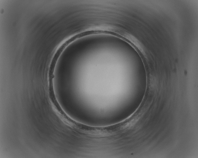 X0000081480980200701121440