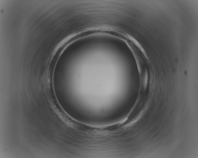 X0000081480981200701121440