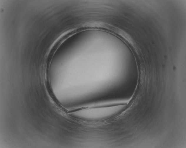 X0000081480984200701121440