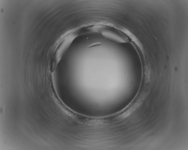 X0000081480993200701121440