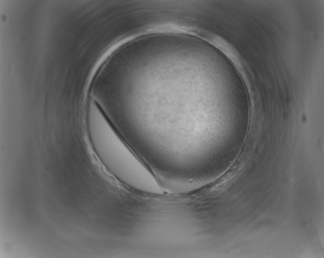 X0000081481008200701121440