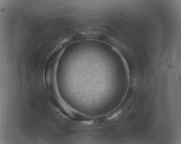 X0000081481010200701121439