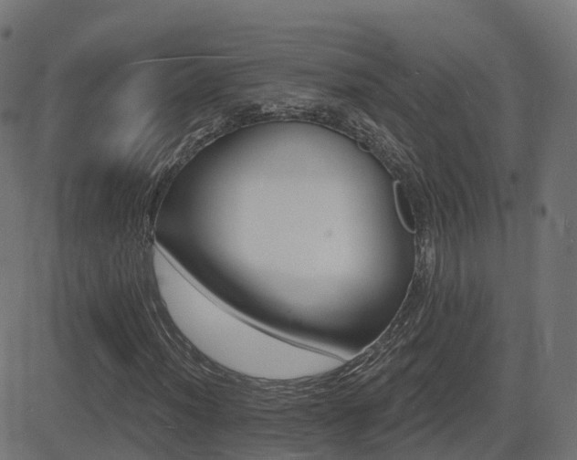 X0000081481012200701121439