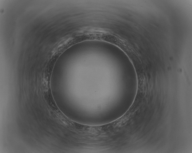 X0000081481013200701121439
