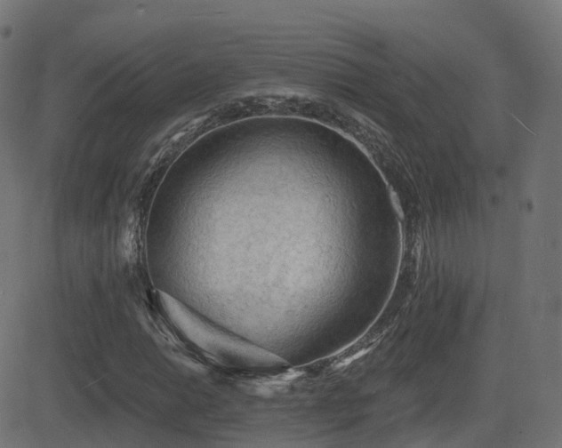 X0000081481014200701121439
