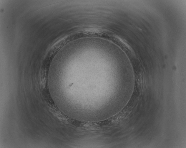 X0000081481015200701121439