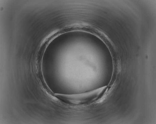 X0000081481018200701121439