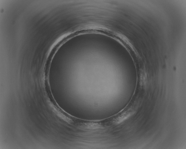 X0000081481024200701121439