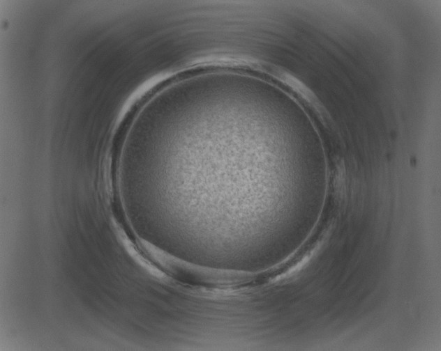 X0000081481030200701121439