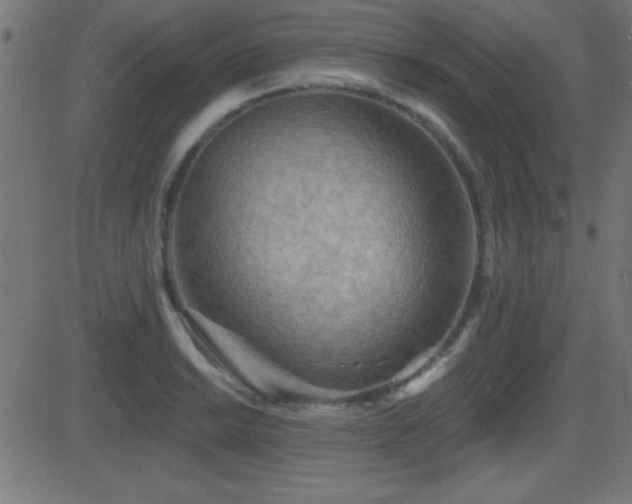 X0000081481038200701121439