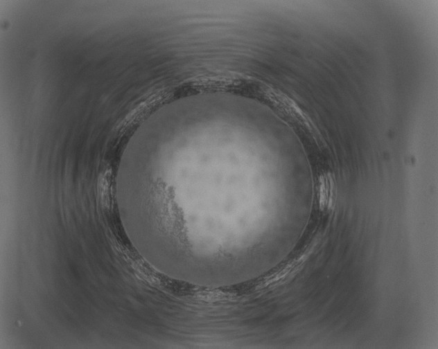 X0000081481059200701121439
