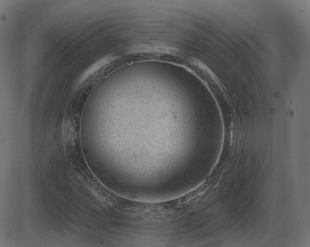 X0000081481064200701121439