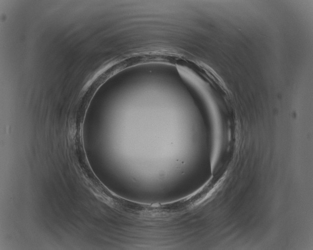 X0000081481065200701121439