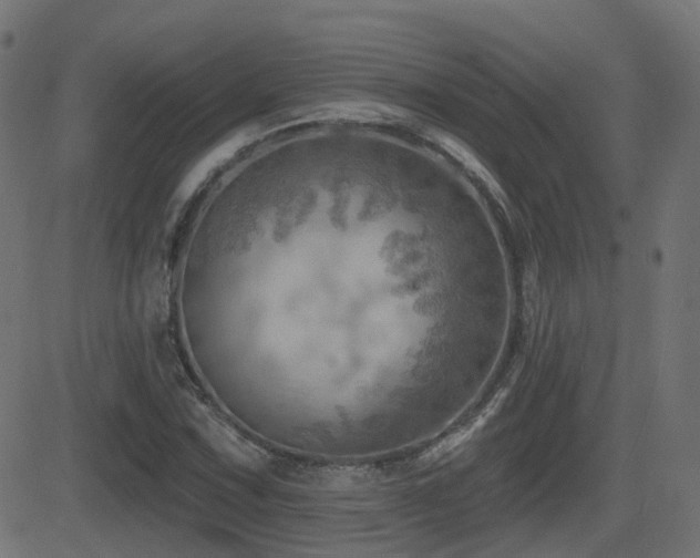 X0000081481067200701121439