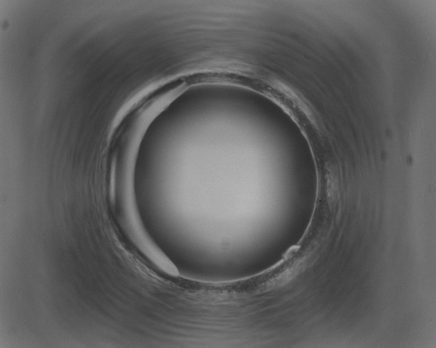 X0000081481069200701121439
