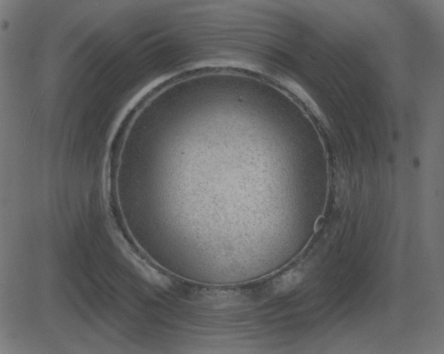X0000081481076200701121439