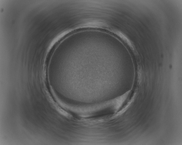 X0000081481077200701121439