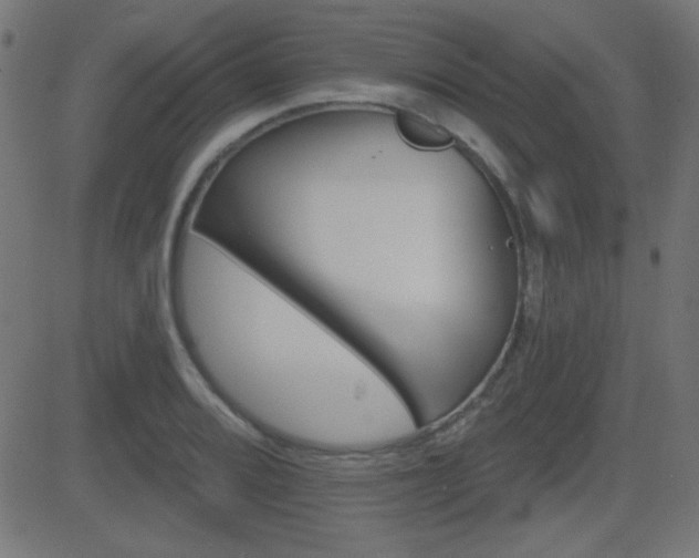 X0000081481080200701121439