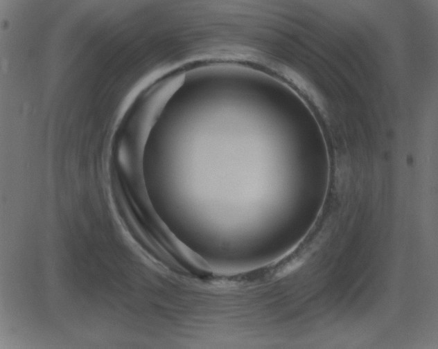 X0000081481085200701121438