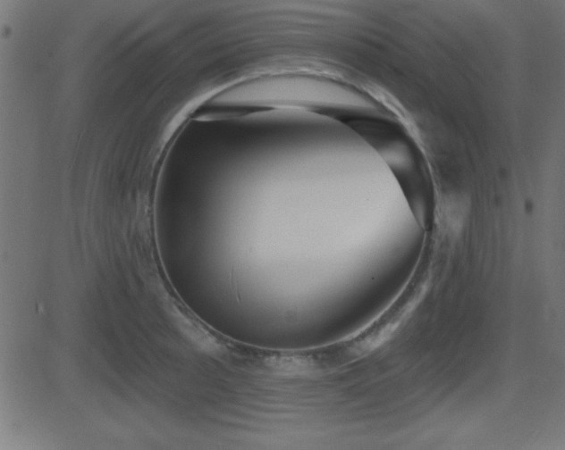 X0000081481089200701121438