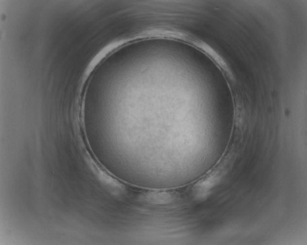 X0000081481094200701121438