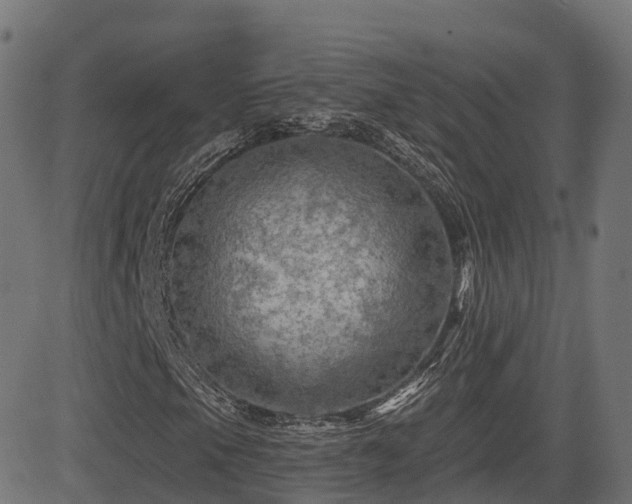 X0000081481105200701121437