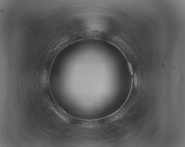 X0000081481107200701121437