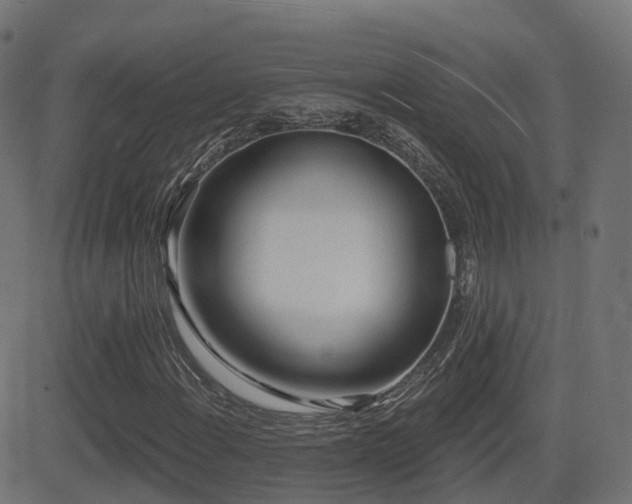 X0000081481108200701121437