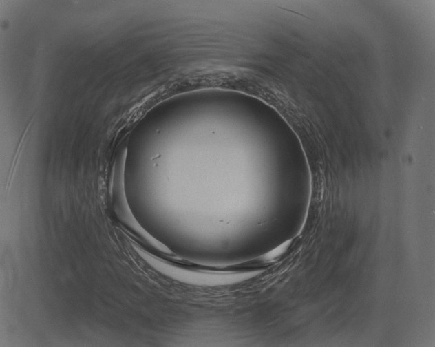 X0000081481109200701121437