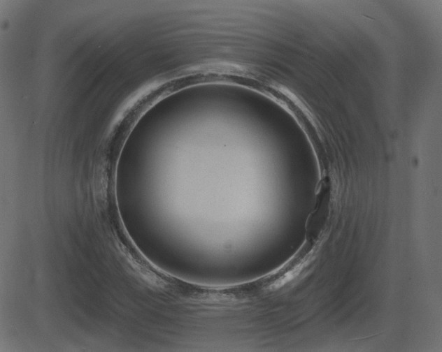 X0000081481115200701121438