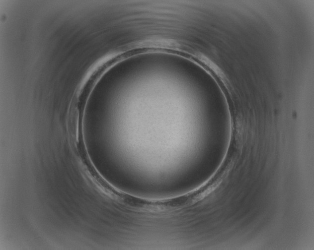 X0000081481123200701121438