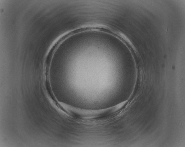 X0000081481124200701121438