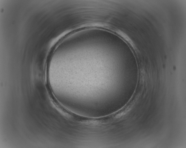 X0000081481127200701121438