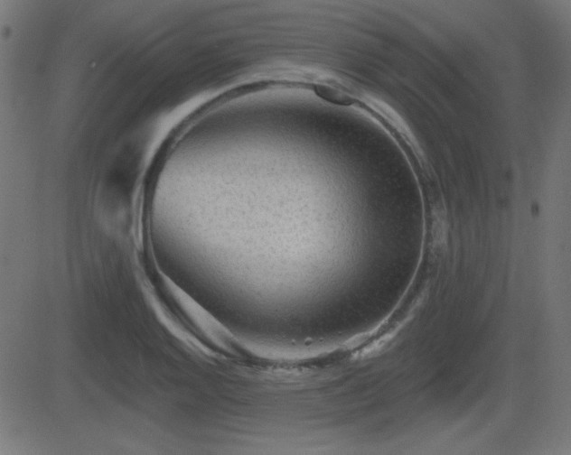 X0000081481128200701121438