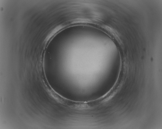 X0000081481129200701121438