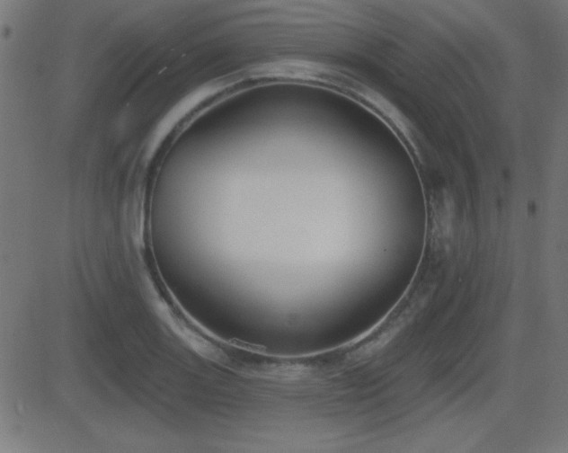 X0000081481131200701121438
