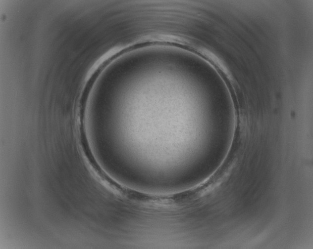 X0000081481133200701121438