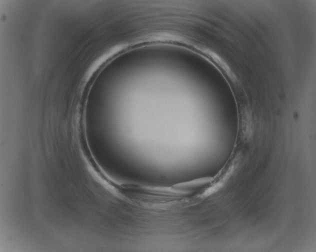 X0000081481134200701121438