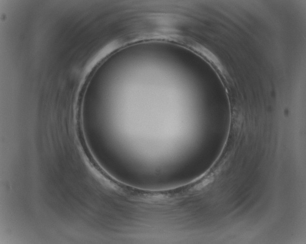 X0000081481135200701121438