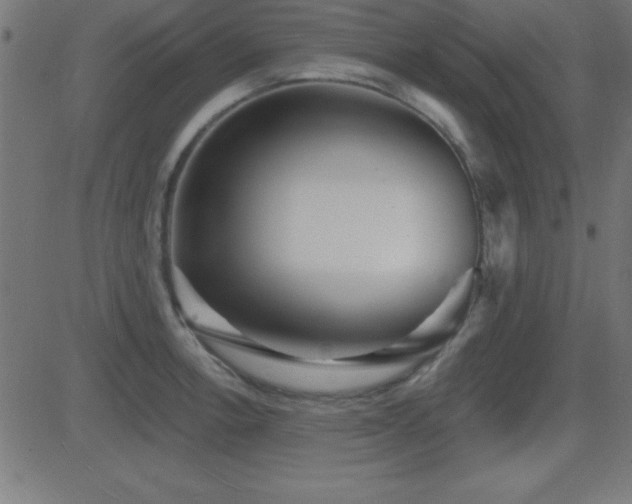 X0000081481138200701121438