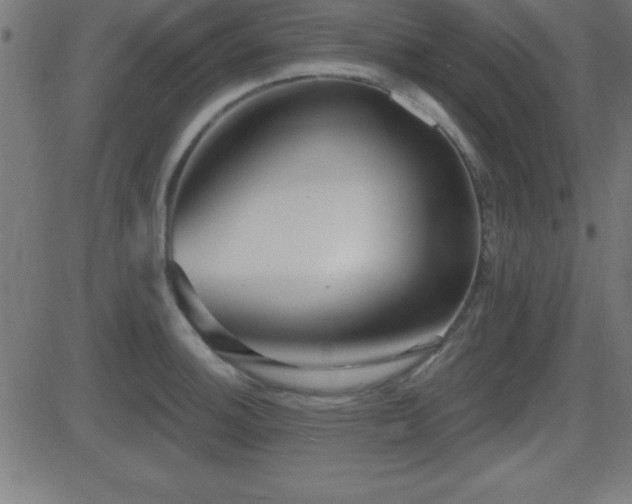 X0000081481140200701121438