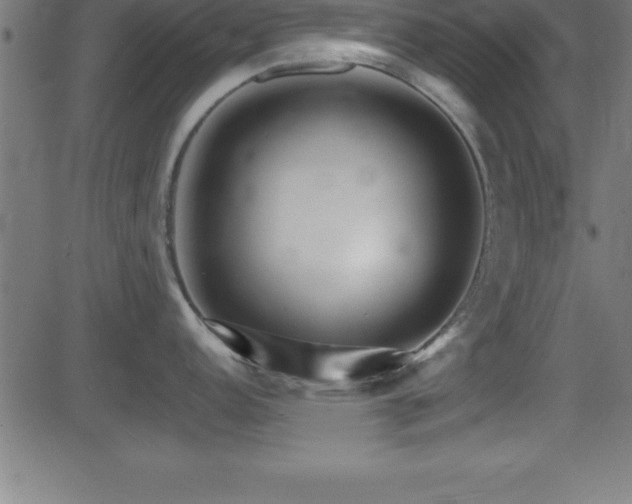 X0000081481152200701121438