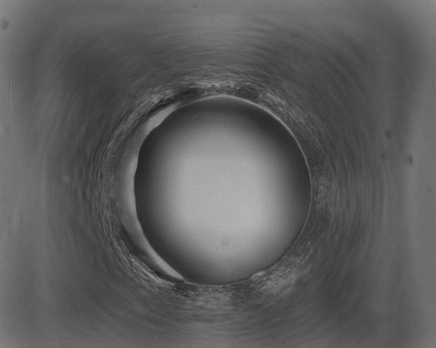 X0000081481153200701121437