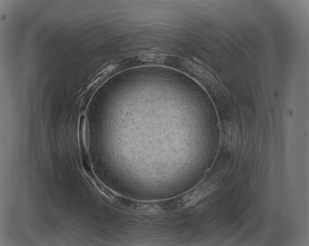 X0000081481154200701121437