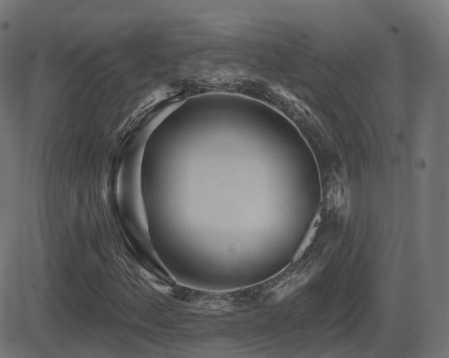 X0000081481156200701121437