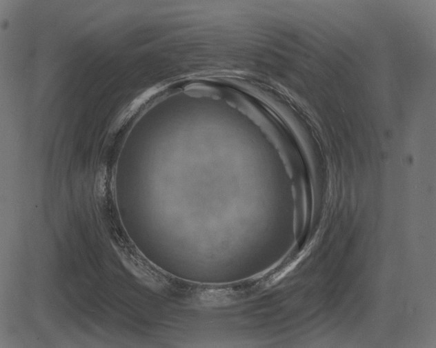 X0000081481161200701121437