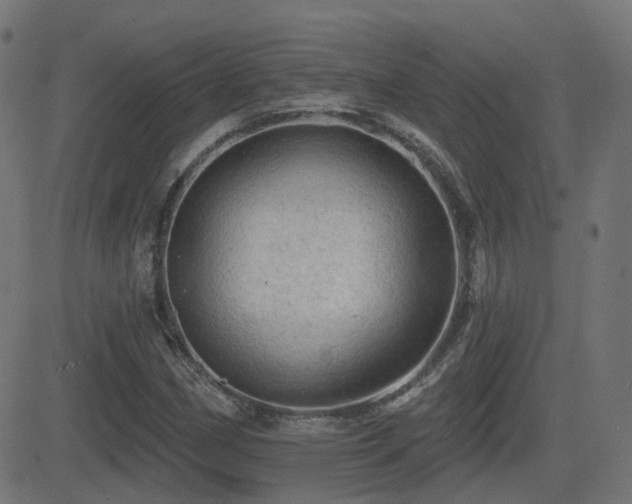 X0000081481162200701121437