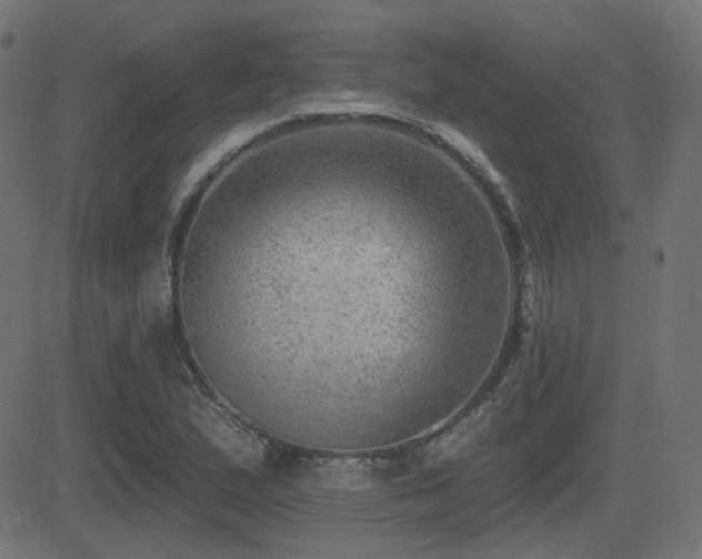 X0000081481167200701121437